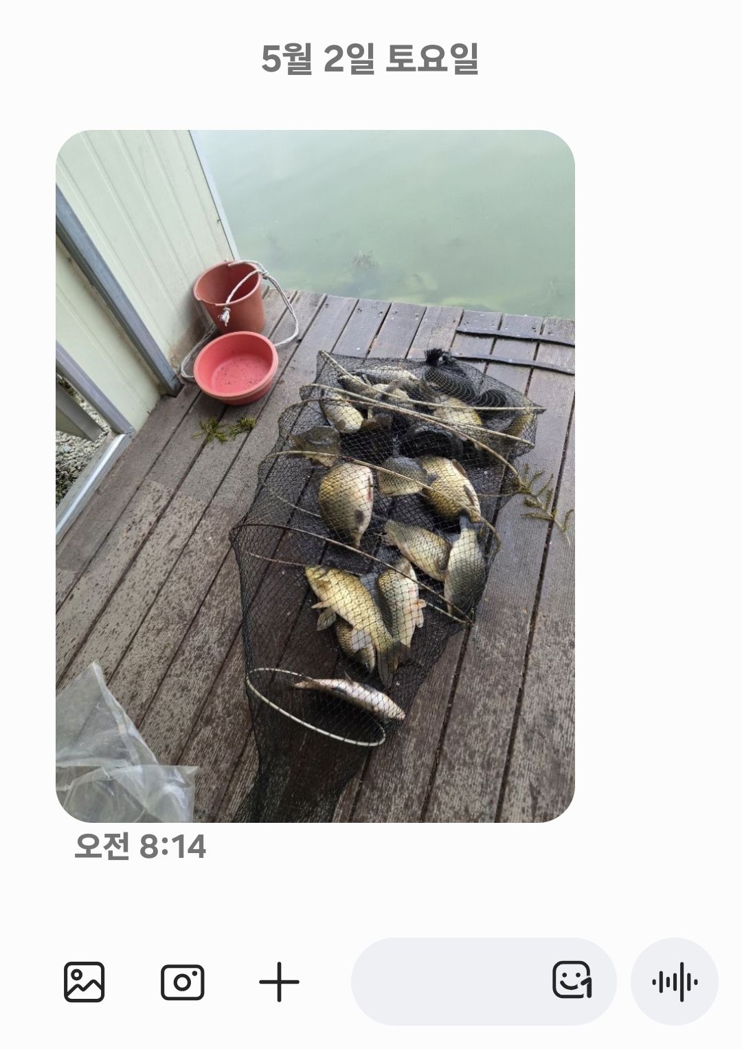 Screenshot_20260502_081557_Messages.jpg