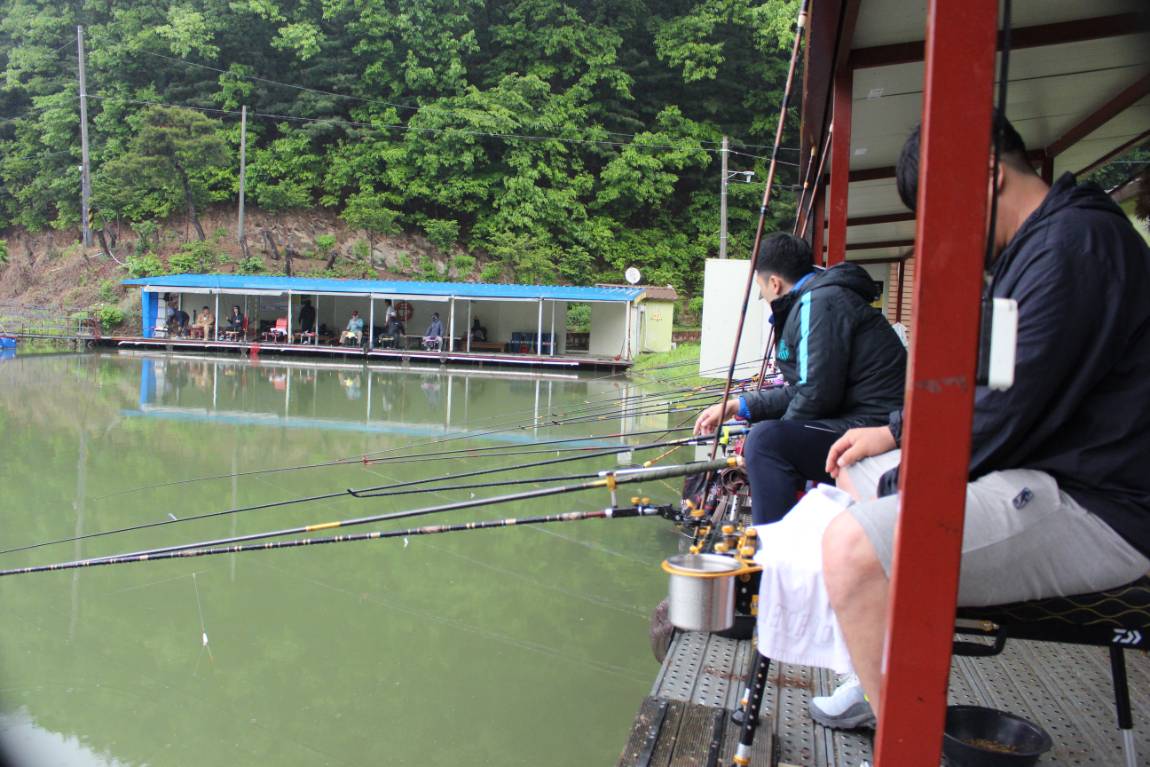 IMG_7683.JPG