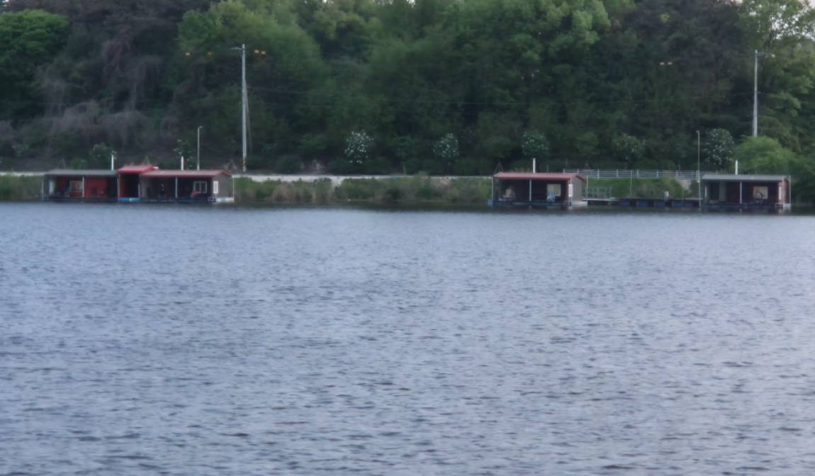 20260501_191934.jpg