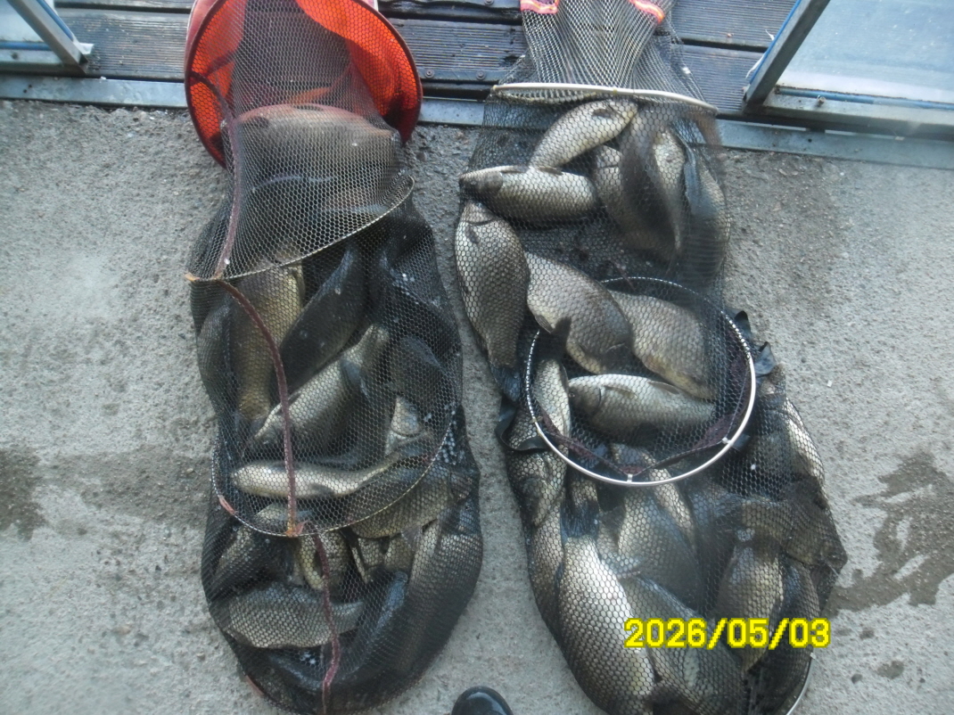SAM_9429.JPG