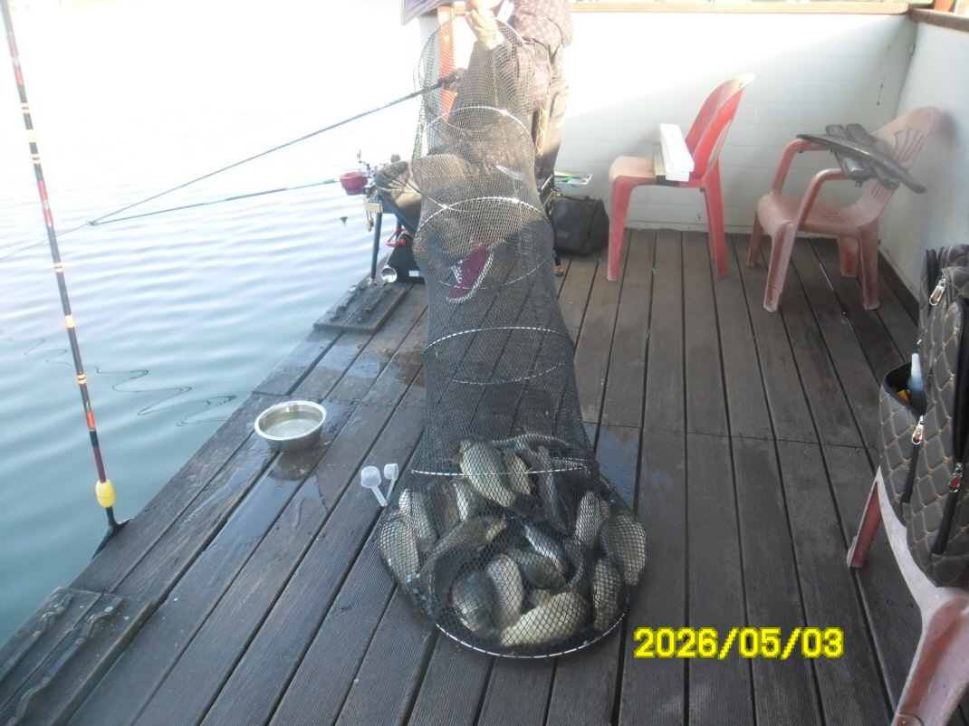 SAM_9435.JPG