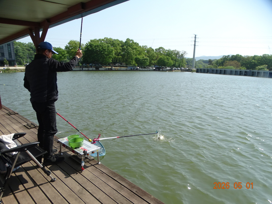 DSC02855.JPG