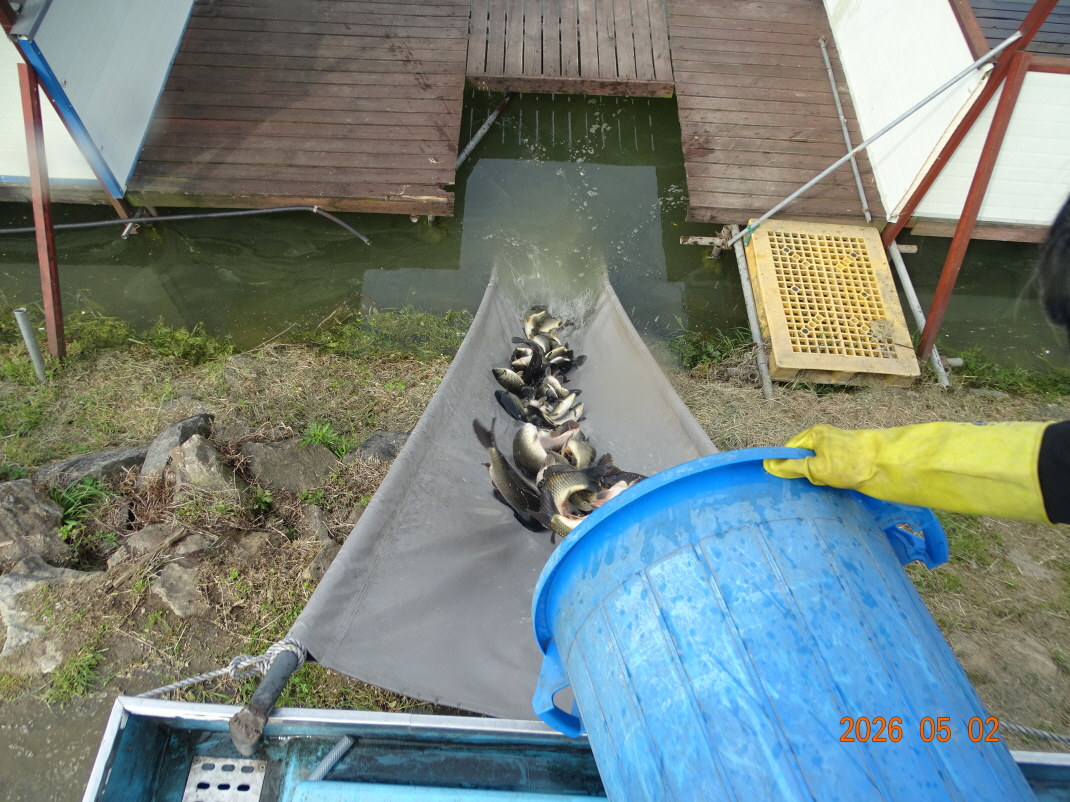 DSC02900.JPG