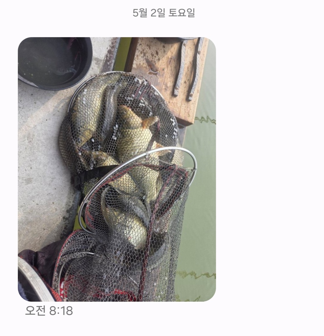 Screenshot_20260502_092725_Messages.jpg