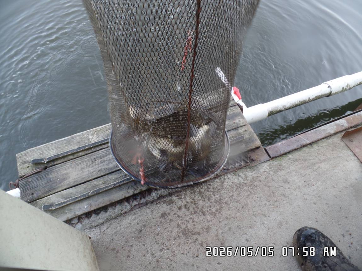 SAM_3908.JPG