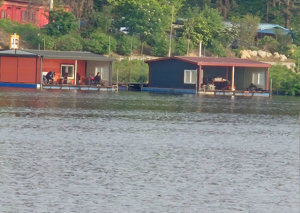 20260502_071352.jpg