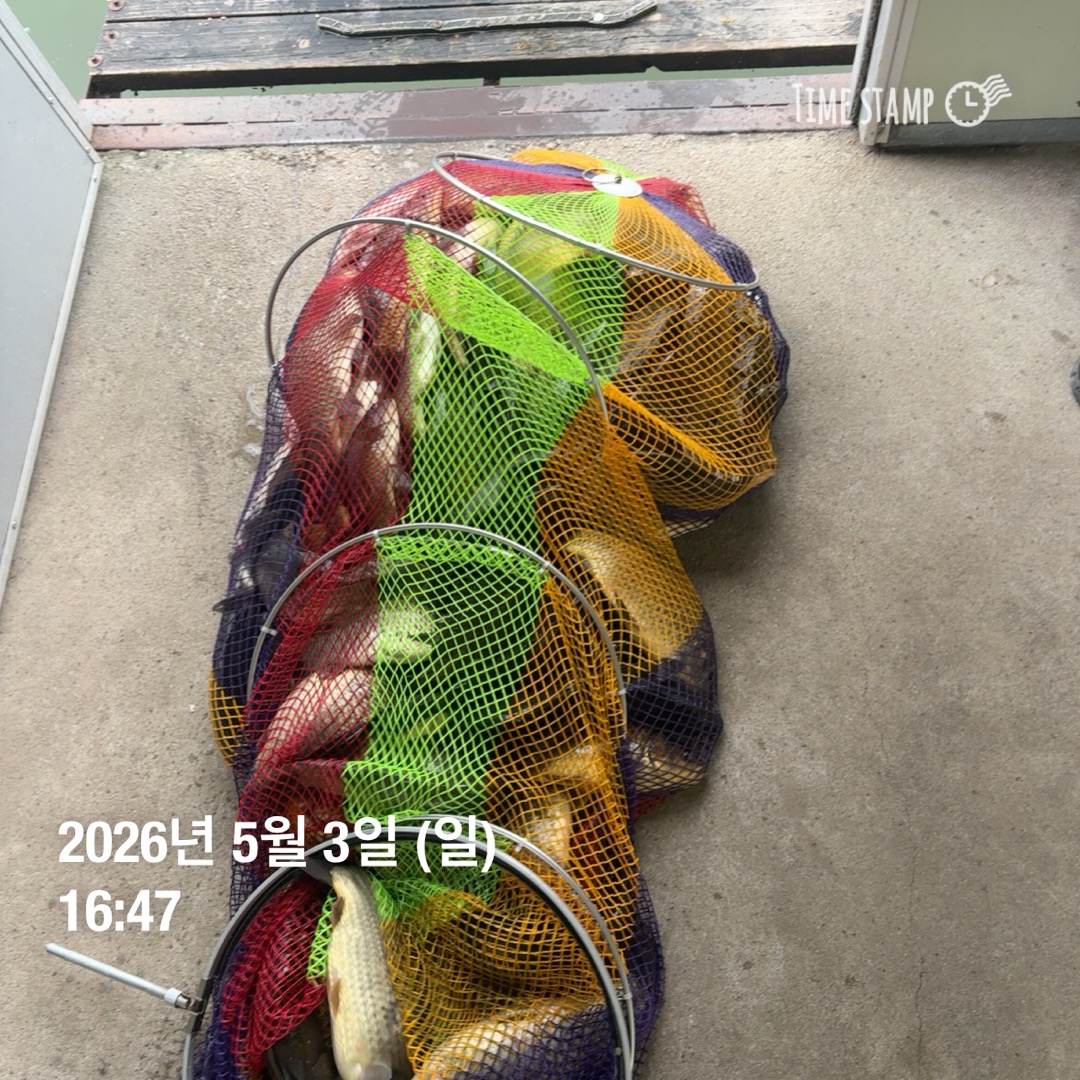 KakaoTalk_20260505_091256810_20.jpg