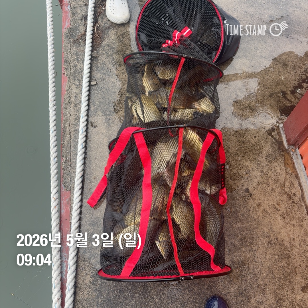 KakaoTalk_20260505_091256810_16.jpg