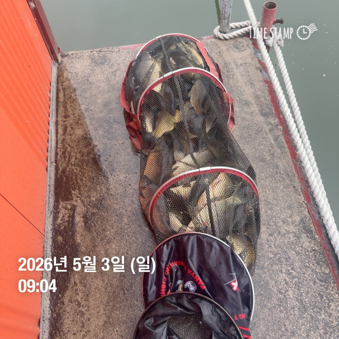 KakaoTalk_20260505_091256810_15.jpg