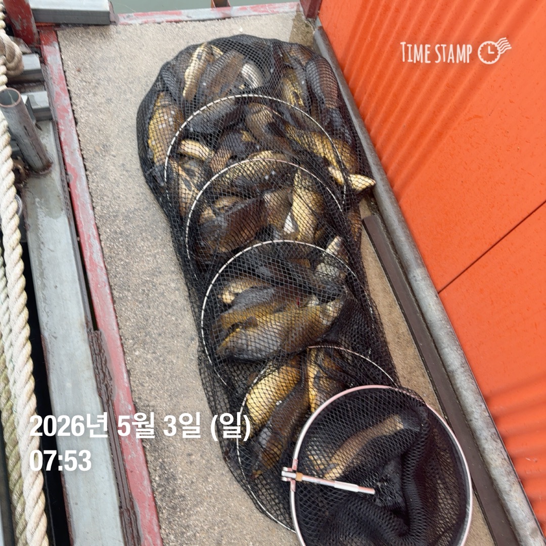 KakaoTalk_20260505_091256810_12.jpg