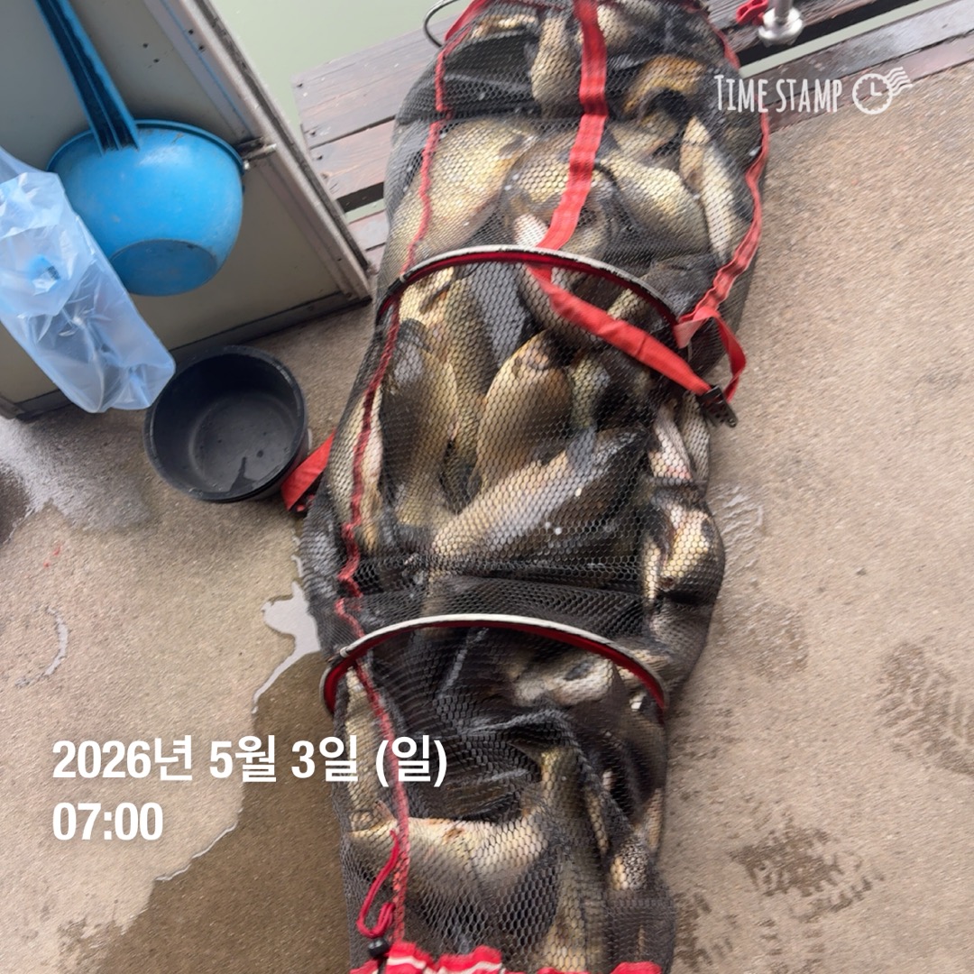 KakaoTalk_20260505_091256810_05.jpg