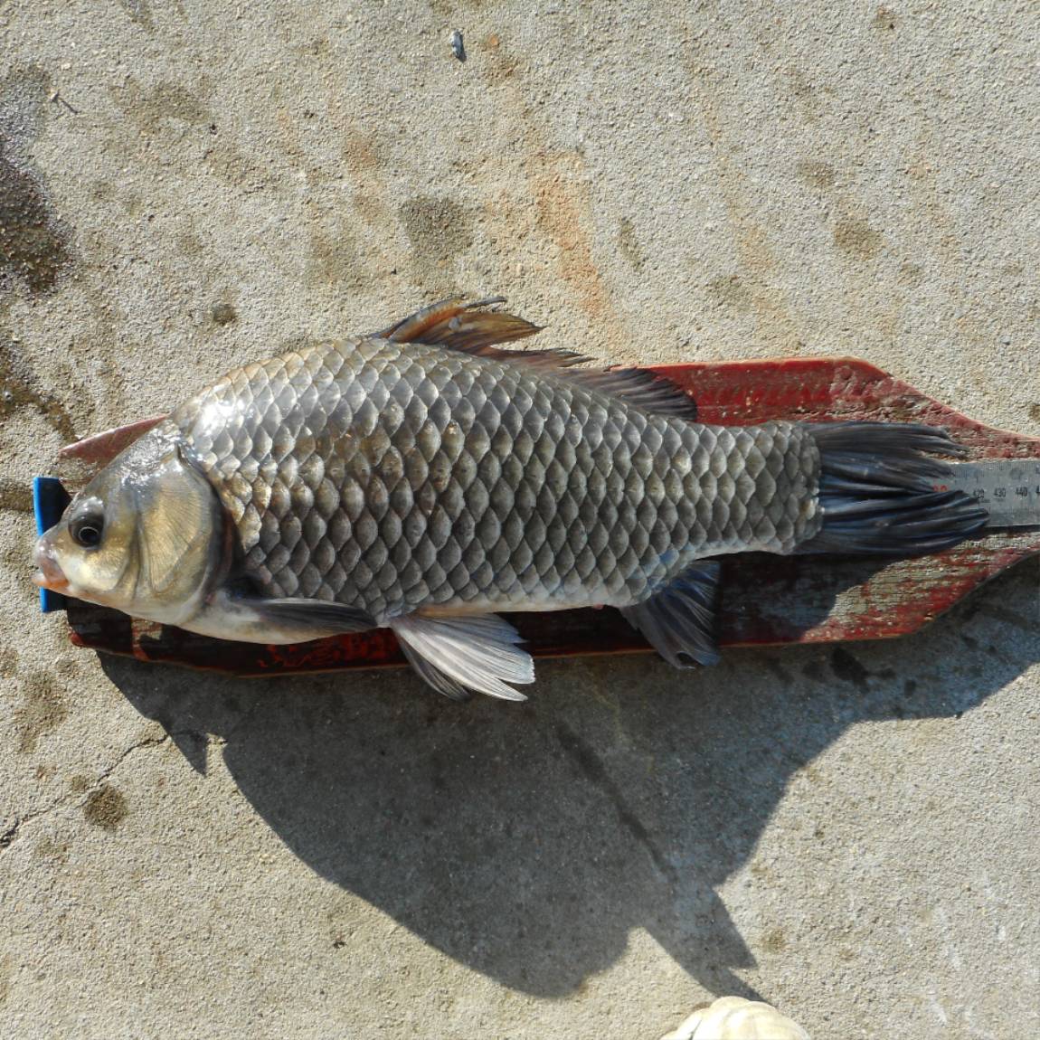 DSCN6133.JPG
