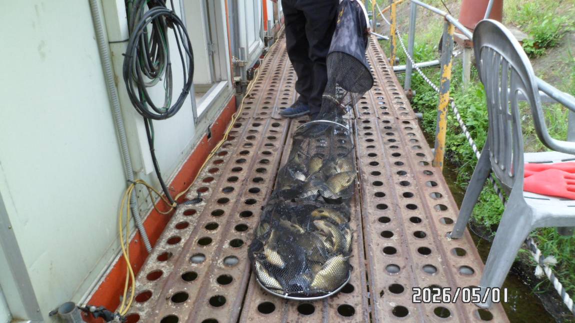 SAM_4443.JPG