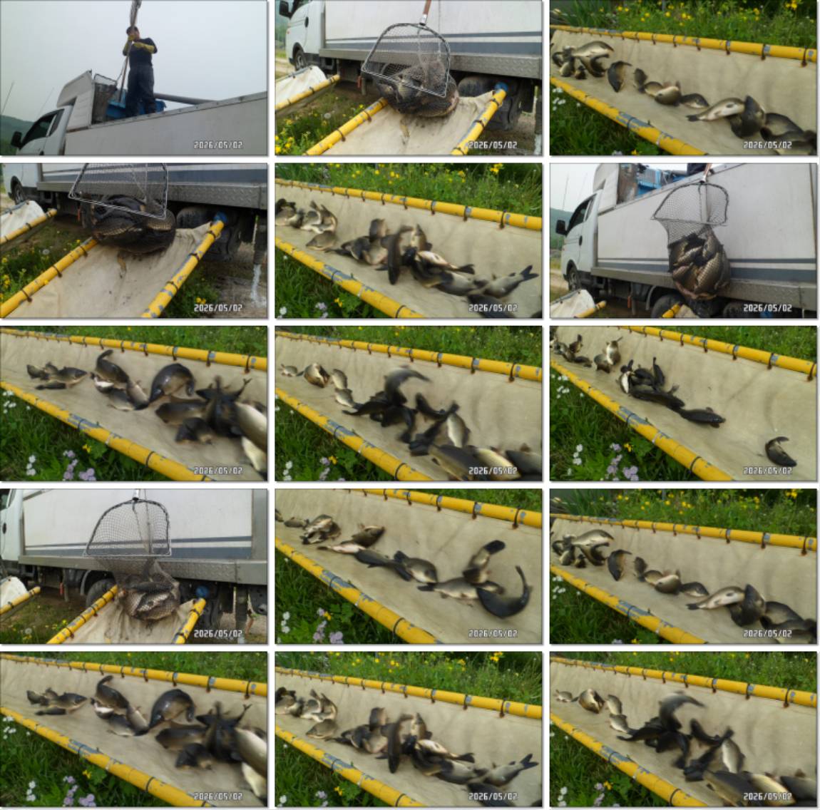 SAM_4486-tile.jpg