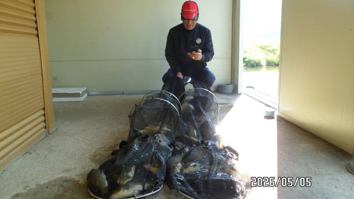 SAM_4586.JPG