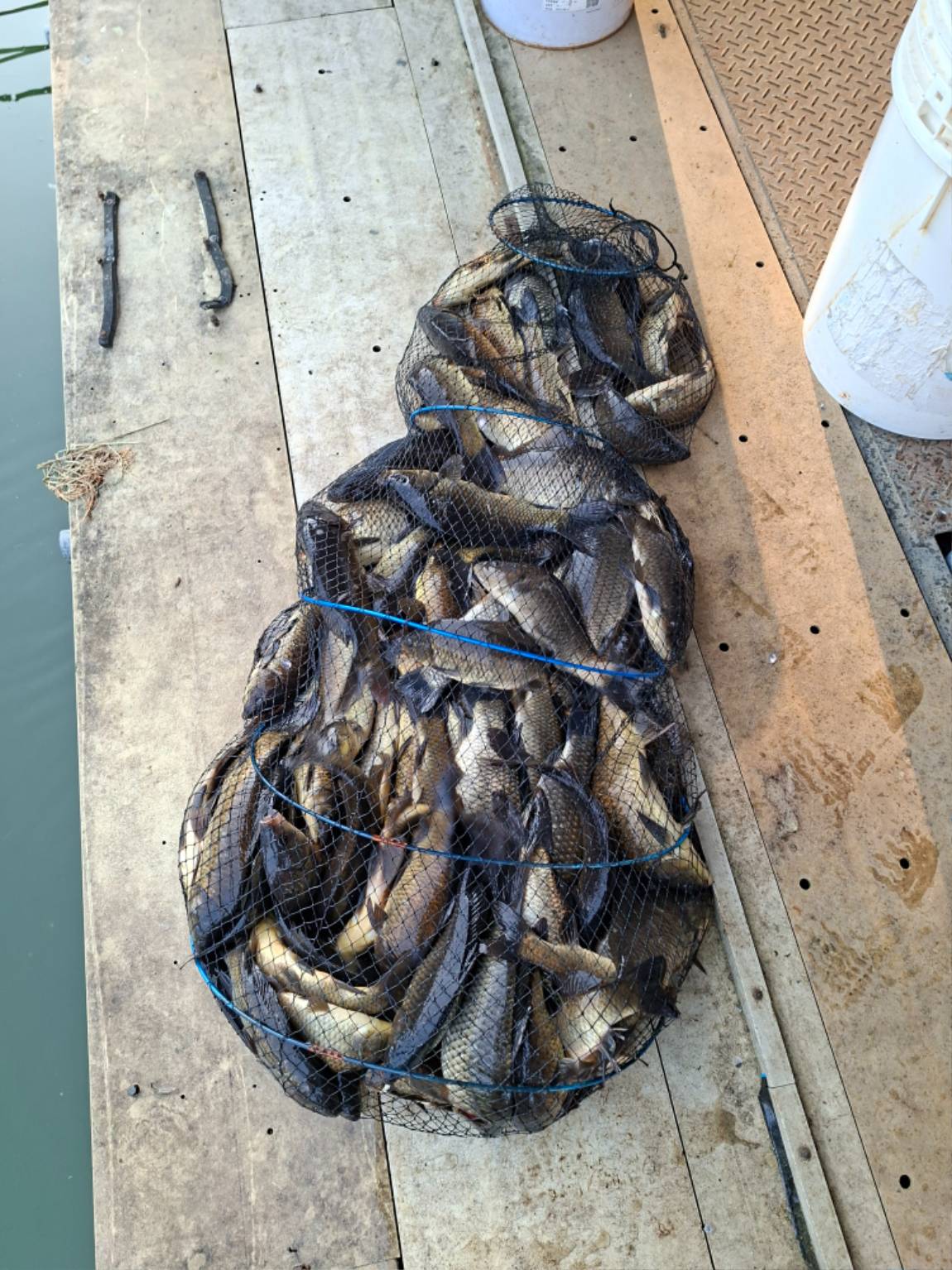 20260502_070144.jpg