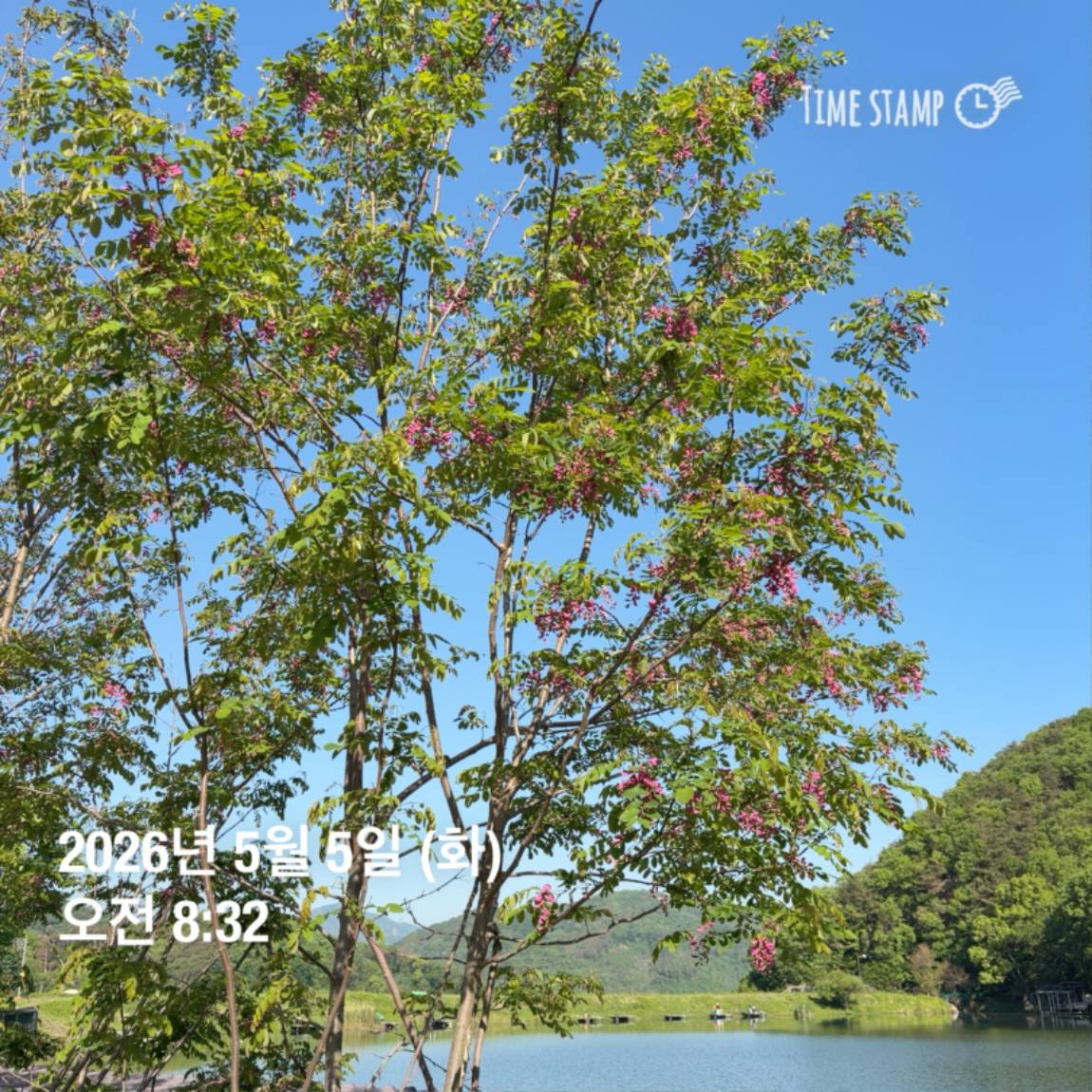 KakaoTalk_20260506_102043090_07.jpg
