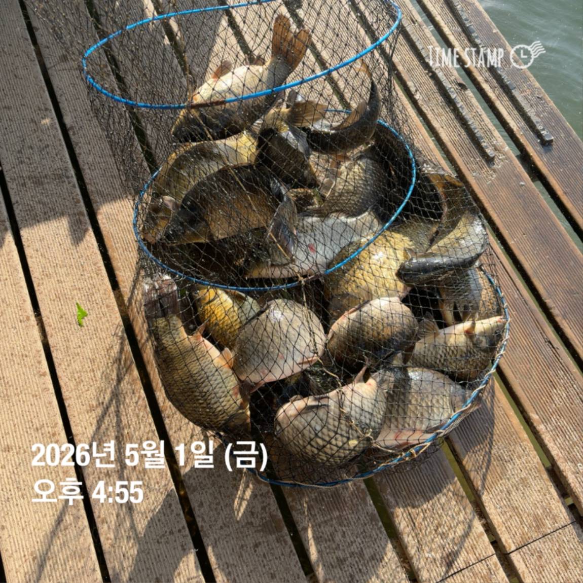 KakaoTalk_20260506_102034620_10.jpg