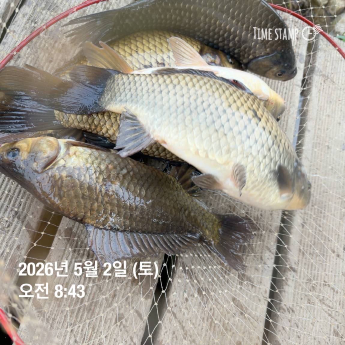 KakaoTalk_20260506_102034620_13.jpg