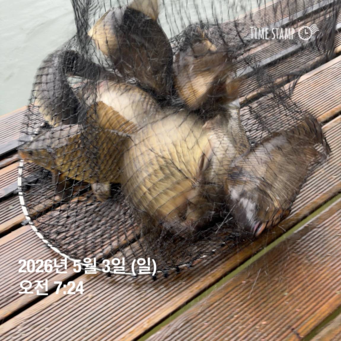 KakaoTalk_20260506_102034620_15.jpg