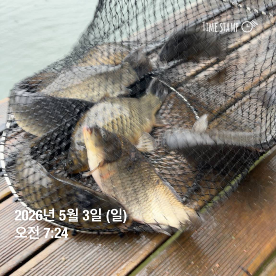 KakaoTalk_20260506_102034620_16.jpg