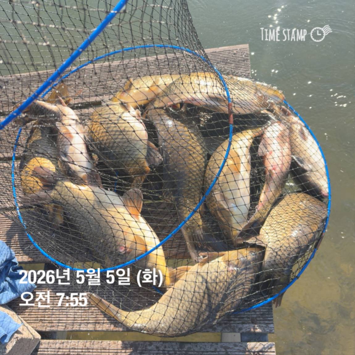 KakaoTalk_20260506_102034620_20.jpg