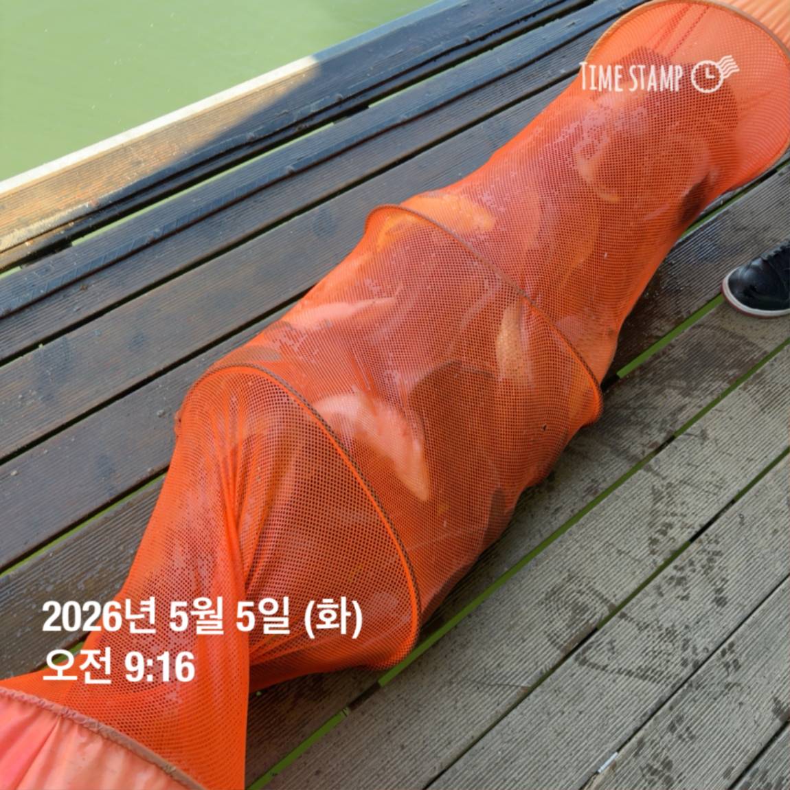 KakaoTalk_20260506_102034620_24.jpg