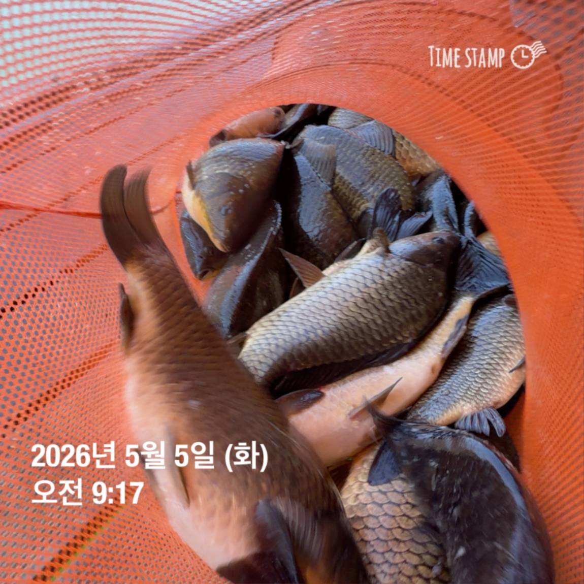 KakaoTalk_20260506_102034620_26.jpg