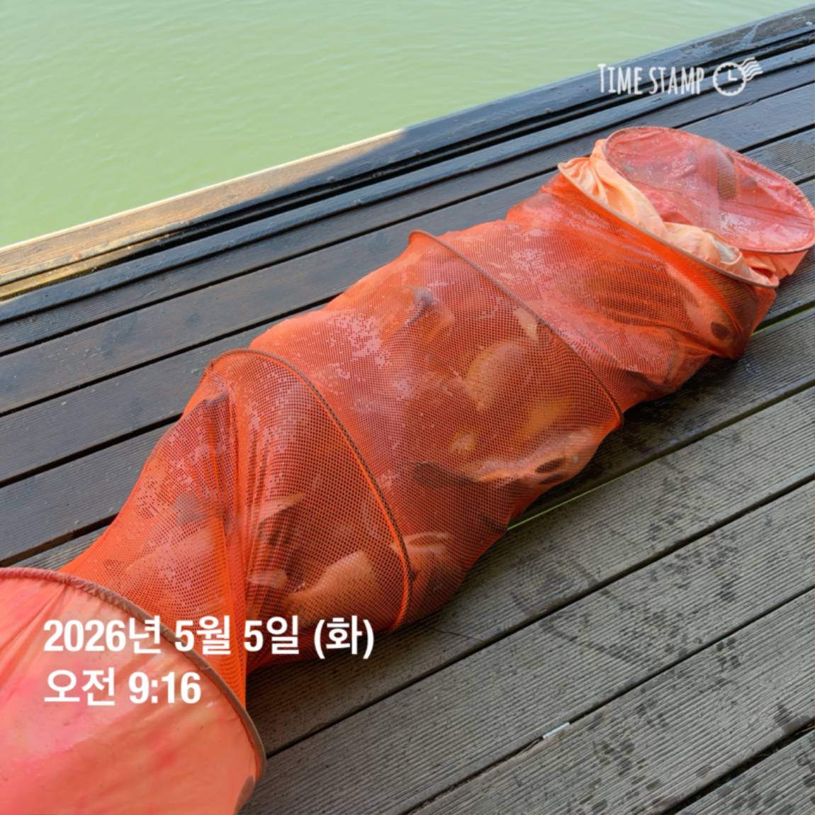 KakaoTalk_20260506_102034620_25.jpg