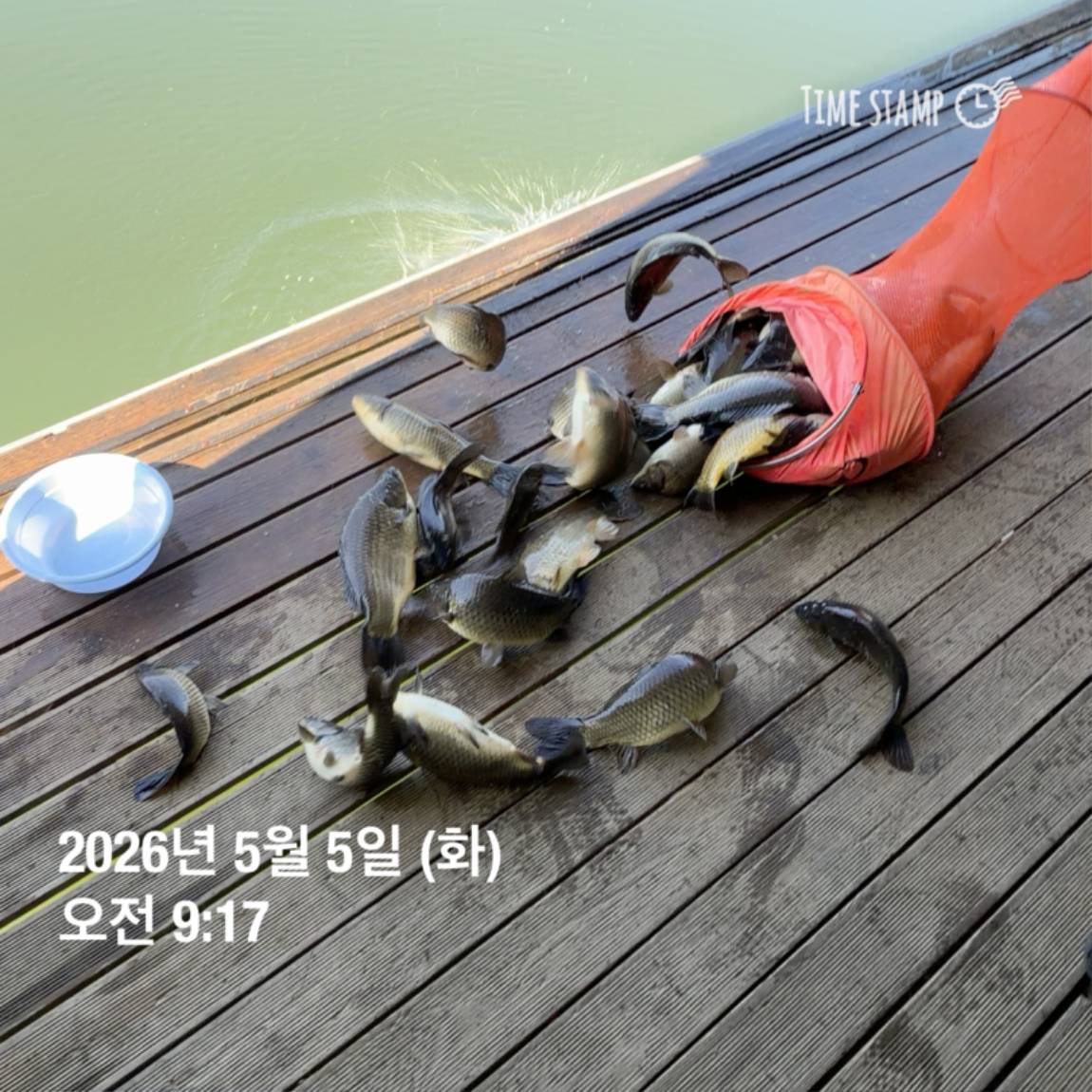 KakaoTalk_20260506_102034620_27.jpg