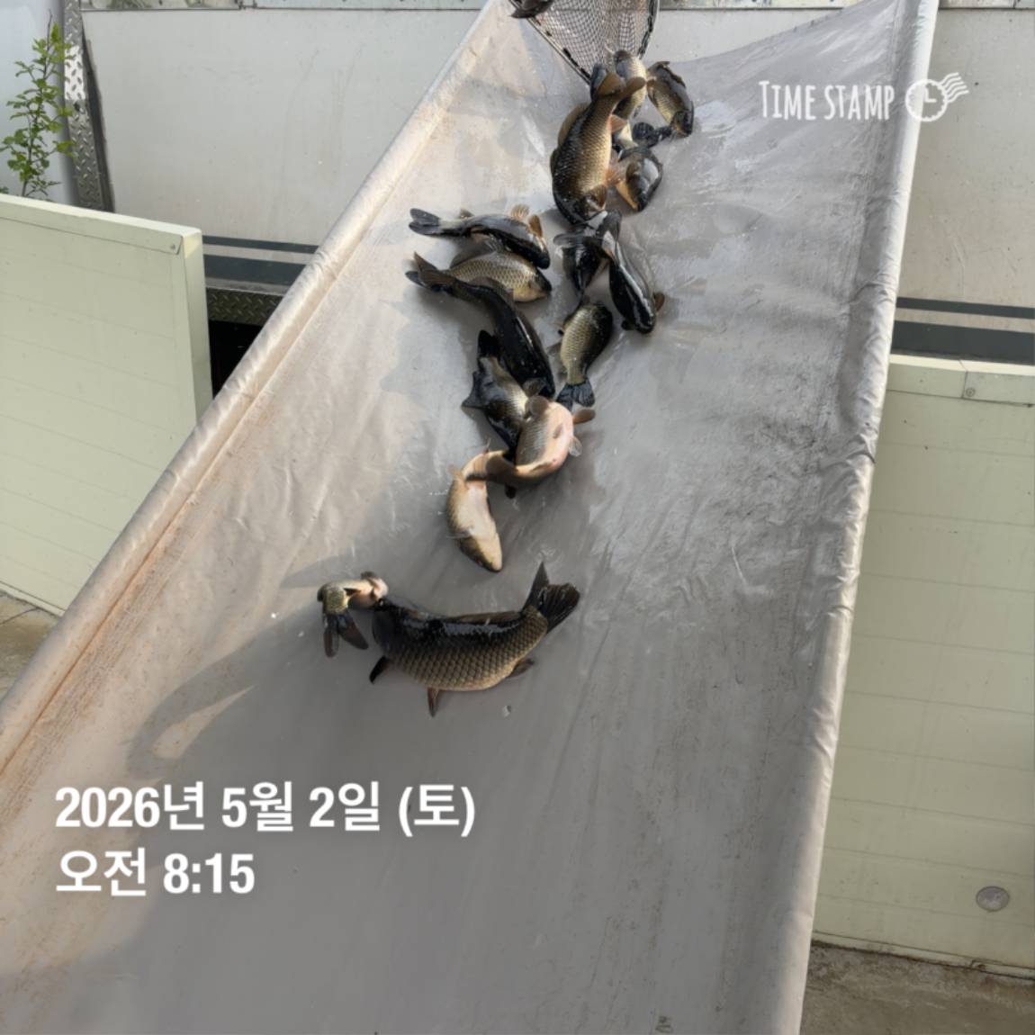 KakaoTalk_20260506_102034620_29.jpg