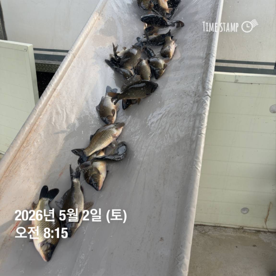 KakaoTalk_20260506_102040938_02.jpg