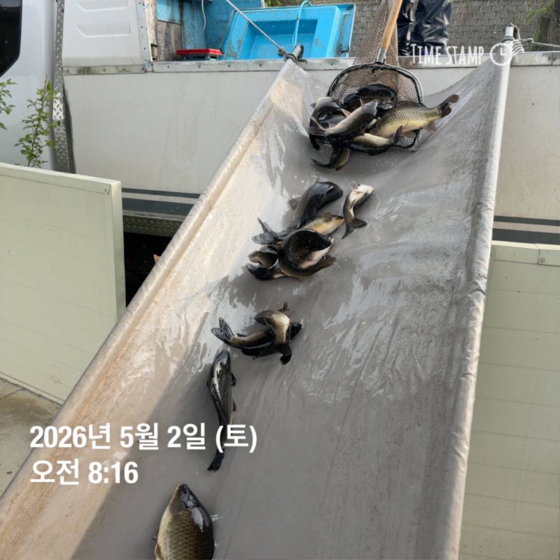 KakaoTalk_20260506_102040938_11.jpg