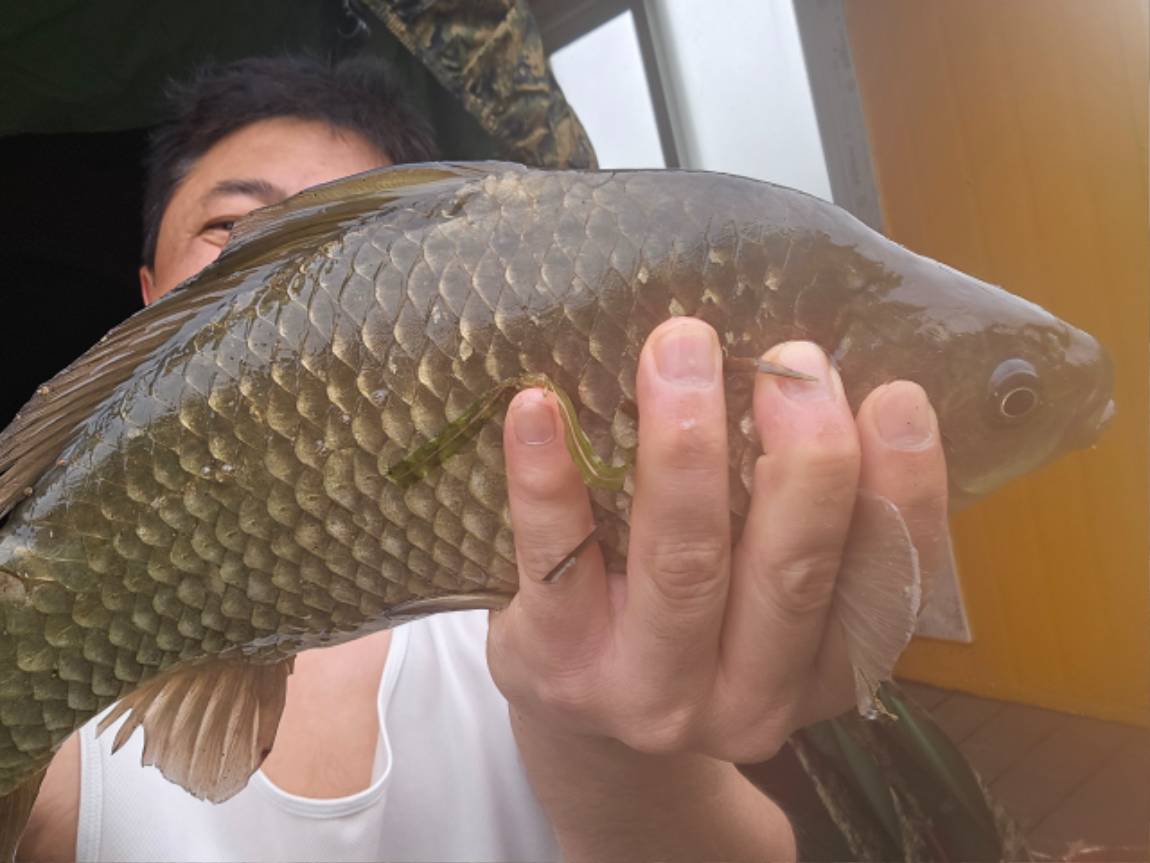 KakaoTalk_20260504_084821655.jpg