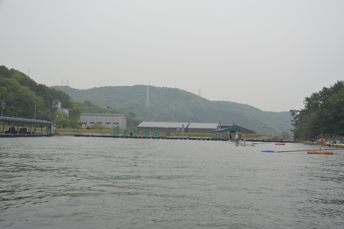 _7104007.JPG