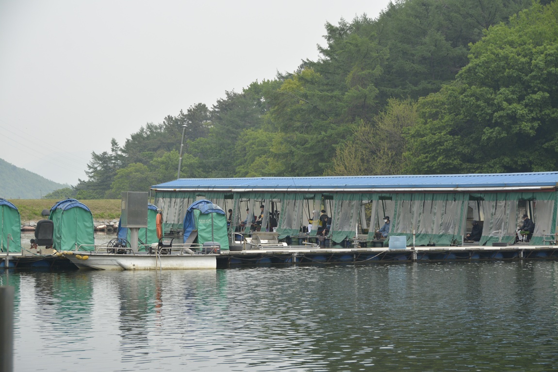 _7104004.JPG