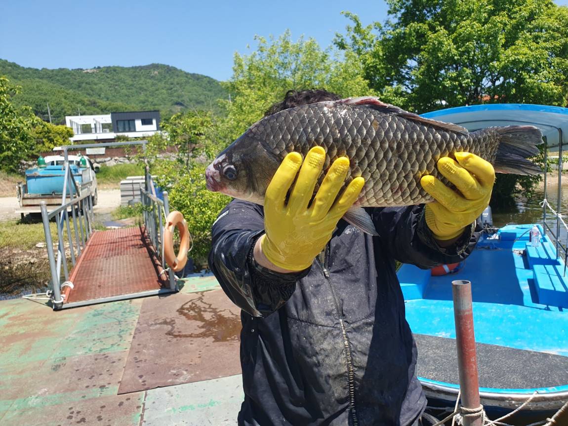 KakaoTalk_20260506_193855816_09.jpg