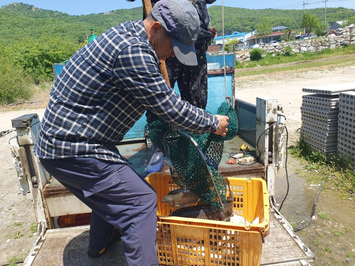 KakaoTalk_20260506_193855816_18.jpg