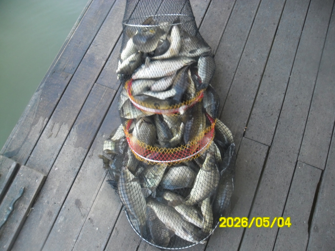SAM_9444.JPG
