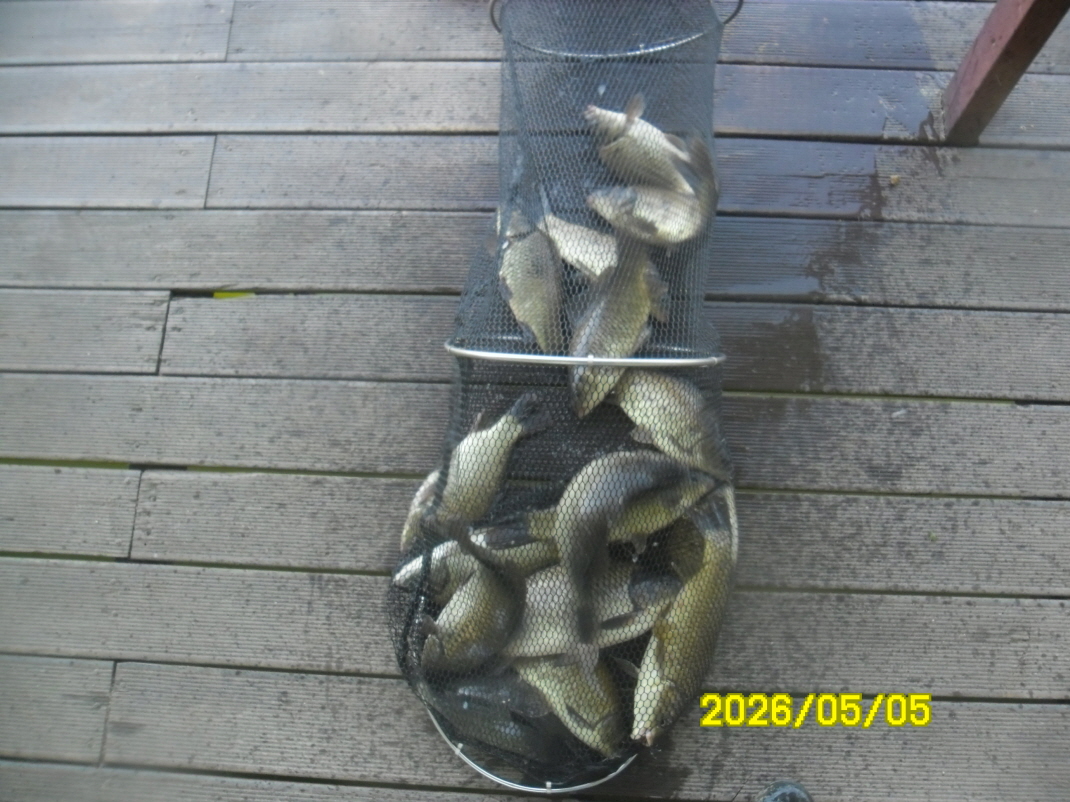 SAM_9478.JPG