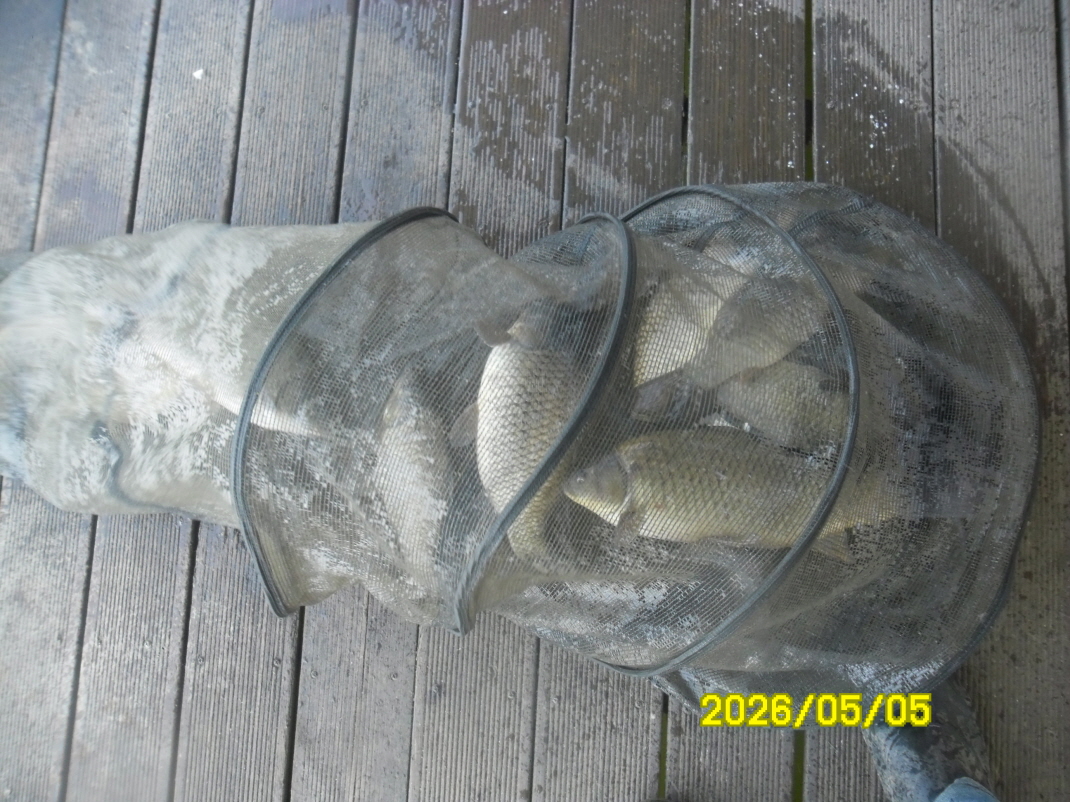 SAM_9480.JPG