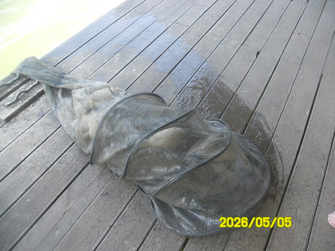 SAM_9479.JPG