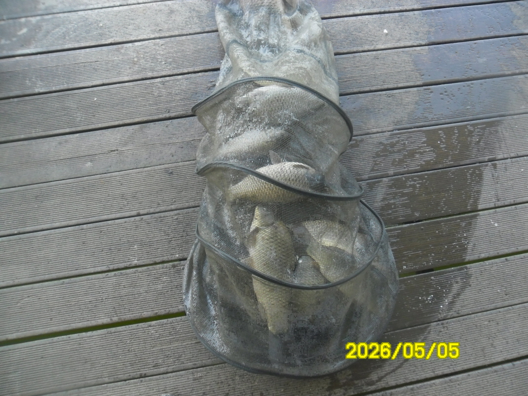 SAM_9481.JPG