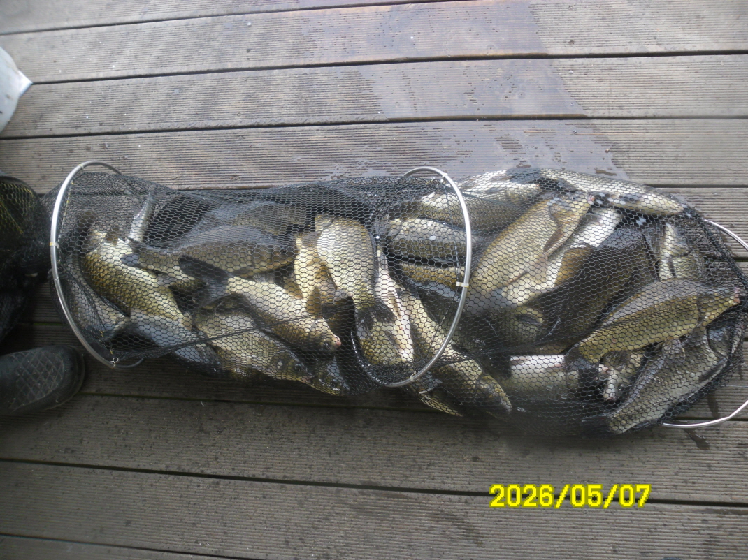 SAM_9516.JPG