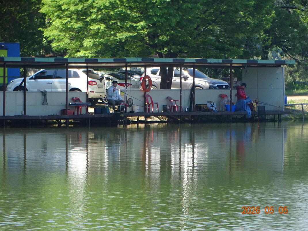 DSC03117.JPG
