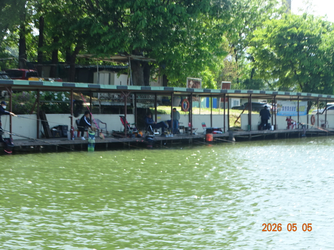 DSC03142.JPG