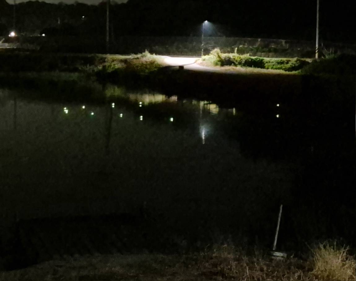 20260507_211334.jpg