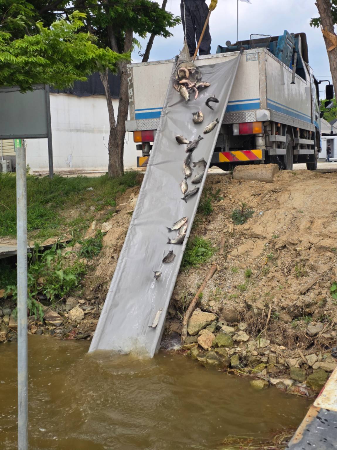 KakaoTalk_20260507_142220577_21.jpg