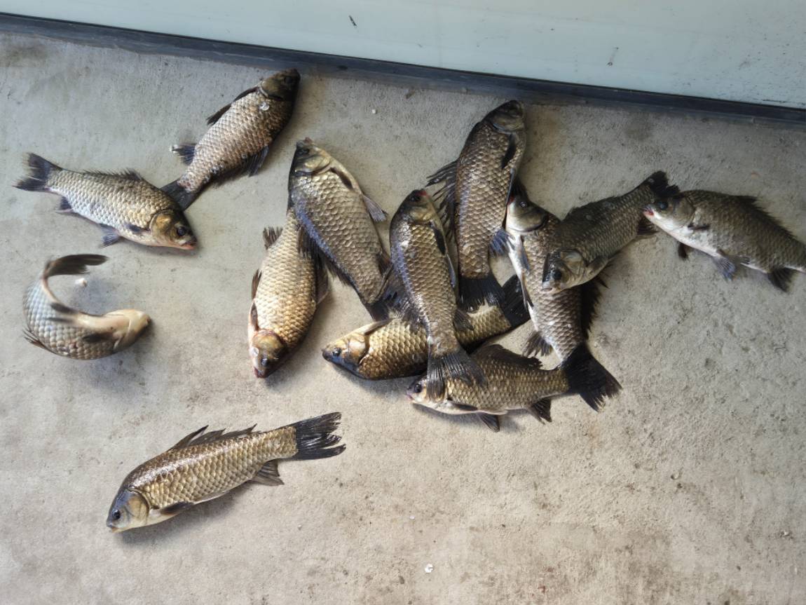 20260508_085020.jpg