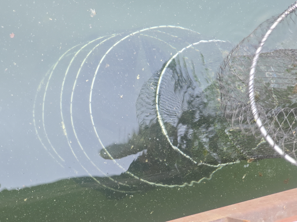 [�ٹ̱�]20260506_143953.jpg